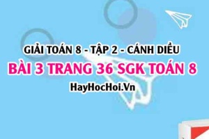 Bài 3 trang 36 Toán 8 Tập 2 Chân trời sáng tạo: Phương Trình Bậc Nhất